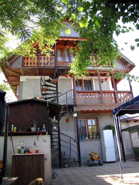 Casa Oana Hotel Sulina Buitenkant foto